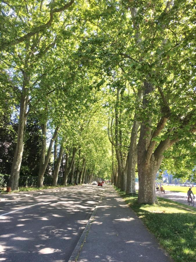 Annecy Center 2 Steps From The Lake Cozy And Renovated! Eksteriør bilde